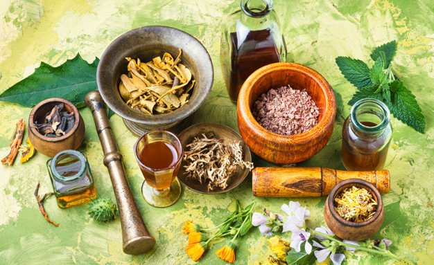 Berbagai Obat Herbal Terpopuler di Dunia
